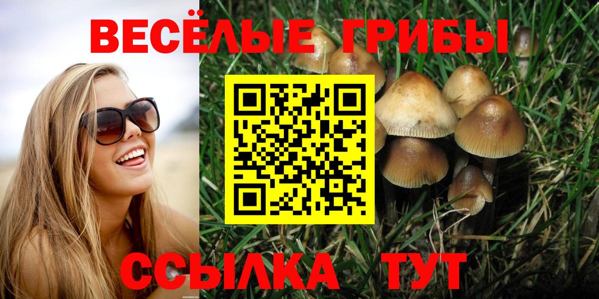 Псилоцибиновые грибы Magic Shrooms  Вход с VPN  Псилоцибиновые грибы Cubensis  Заречный 