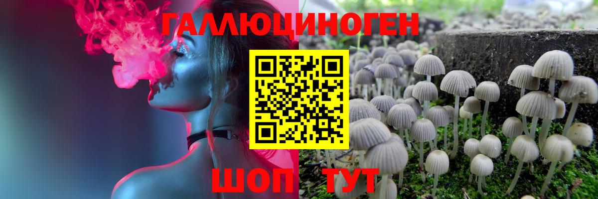 Псилоцибиновые грибы Cubensis Заречный